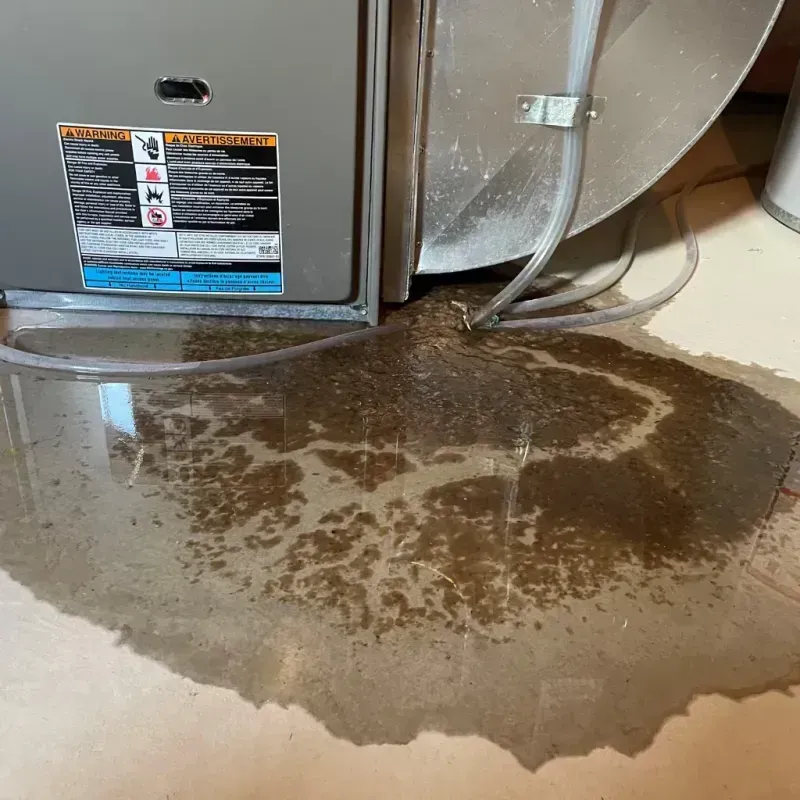 Appliance Leak Cleanup in Smiths Station, AL